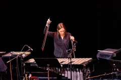 low-res-22-november-18-new-york-chatham-PS21-switch-ensemble-resonant-mechanisms-DSC1196-2DO-megan-arns-2-crop